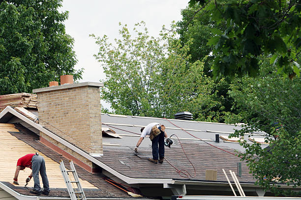 Best Storm Damage Roof Repair  in Timberville, VA