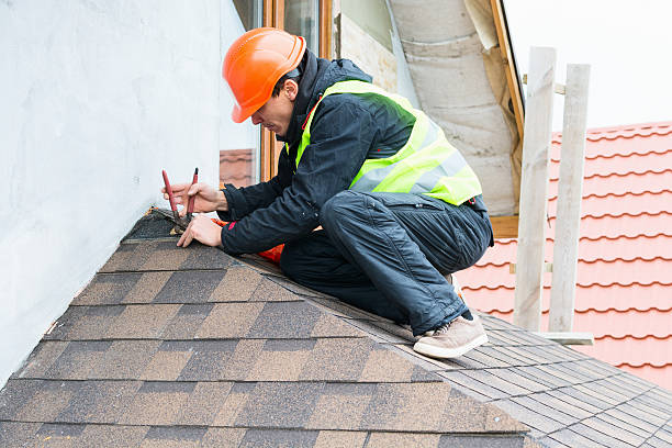 Roof Gutter Cleaning in Timberville, VA